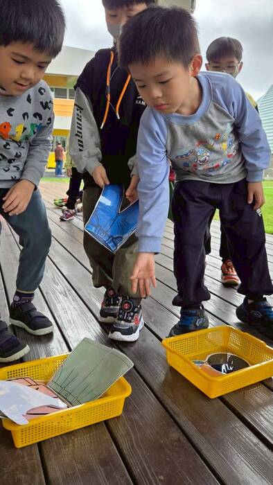 爸爸的家事小達人-將圖卡分類放置到指定地方